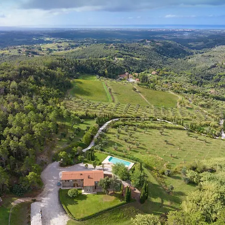 Cava Alta