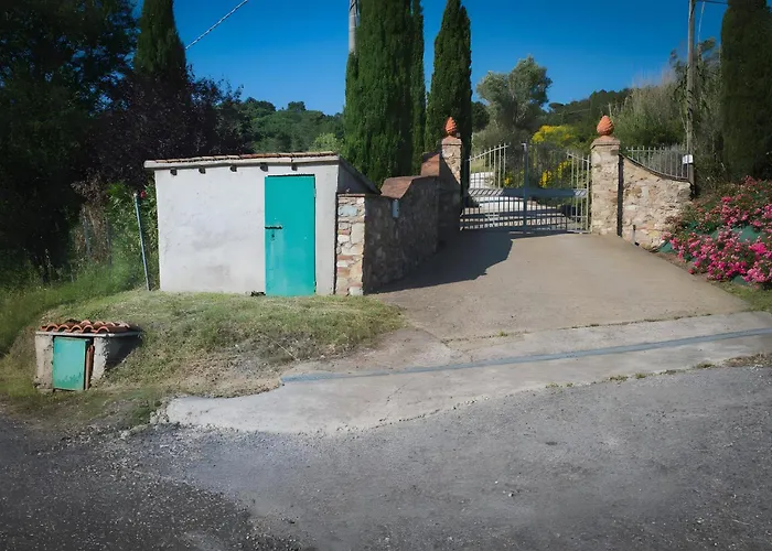 Cava Alta فيلة *